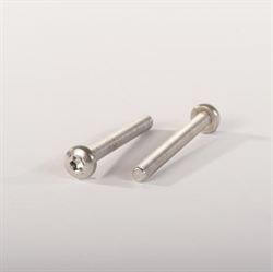 MASKINSKRUE PH.TORX.ELZ 3 X 6